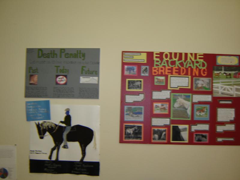 Two research works: Hypotherapy Directions and Evolving Equine Breeding Practice