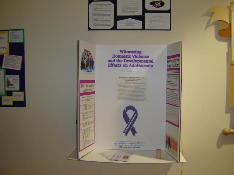 This poster board examines the research topic of domestic violence and later lif
